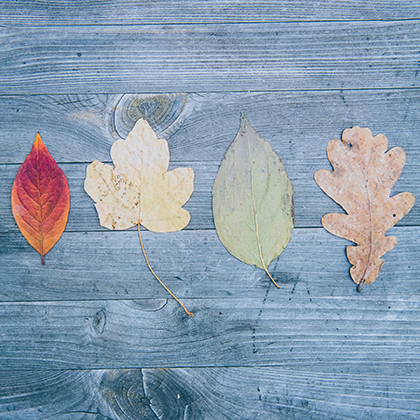 Photo by Markus Spiske on Unsplash